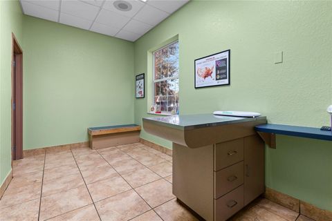 Tiny photo for 3300 N Highway 19a, Mount Dora, FL 32757 (MLS # O6383136)