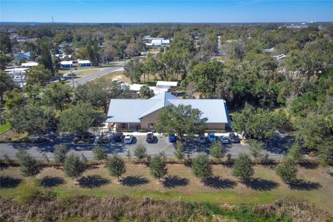 Tiny photo for 3300 N Highway 19a, Mount Dora, FL 32757 (MLS # O6383136)