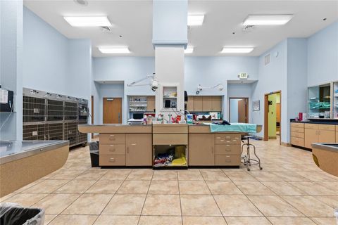 Tiny photo for 3300 N Highway 19a, Mount Dora, FL 32757 (MLS # O6383136)