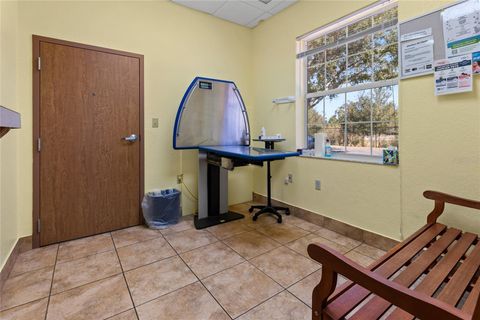 Tiny photo for 3300 N Highway 19a, Mount Dora, FL 32757 (MLS # O6383136)