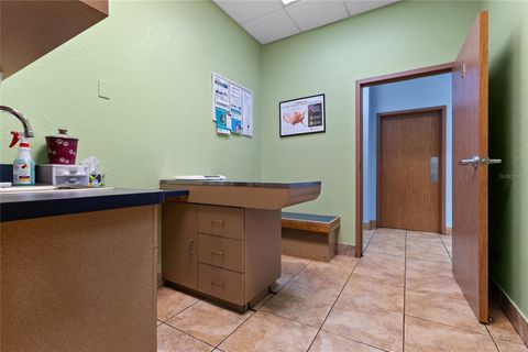 Tiny photo for 3300 N Highway 19a, Mount Dora, FL 32757 (MLS # O6383136)