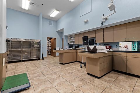 Tiny photo for 3300 N Highway 19a, Mount Dora, FL 32757 (MLS # O6383136)