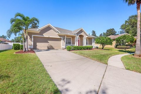 A home in VALRICO