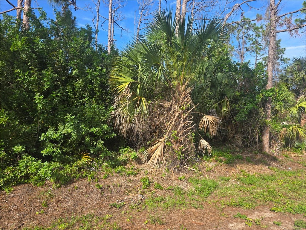 Photo of Pronto Lane, North Port, FL 34286 (MLS # C7527436)