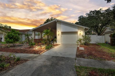 A home in TAMPA