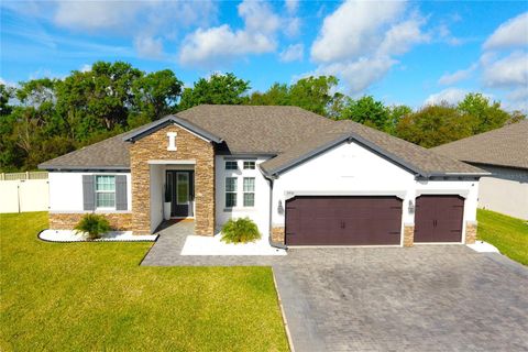 19730 PRESERVATION WOODS DRIVE LUTZ FL 33558