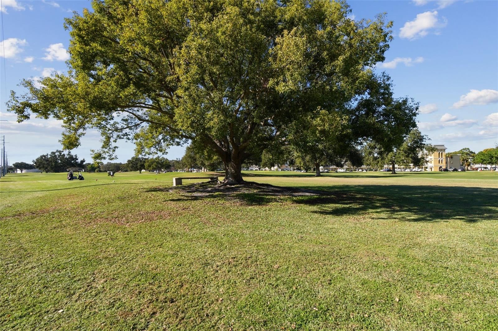 ON TOP OF THE WORLD - Residential