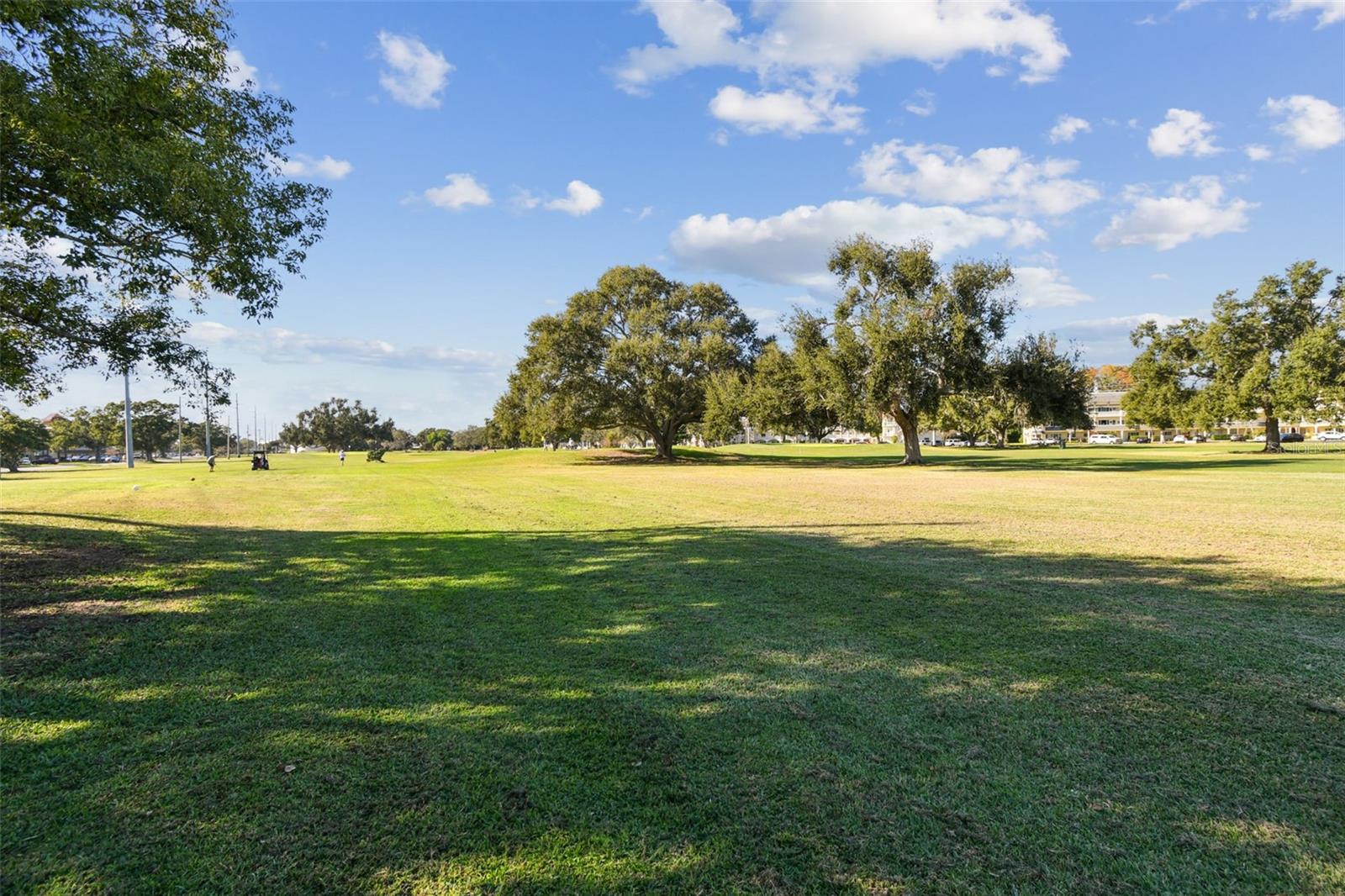 ON TOP OF THE WORLD - Residential