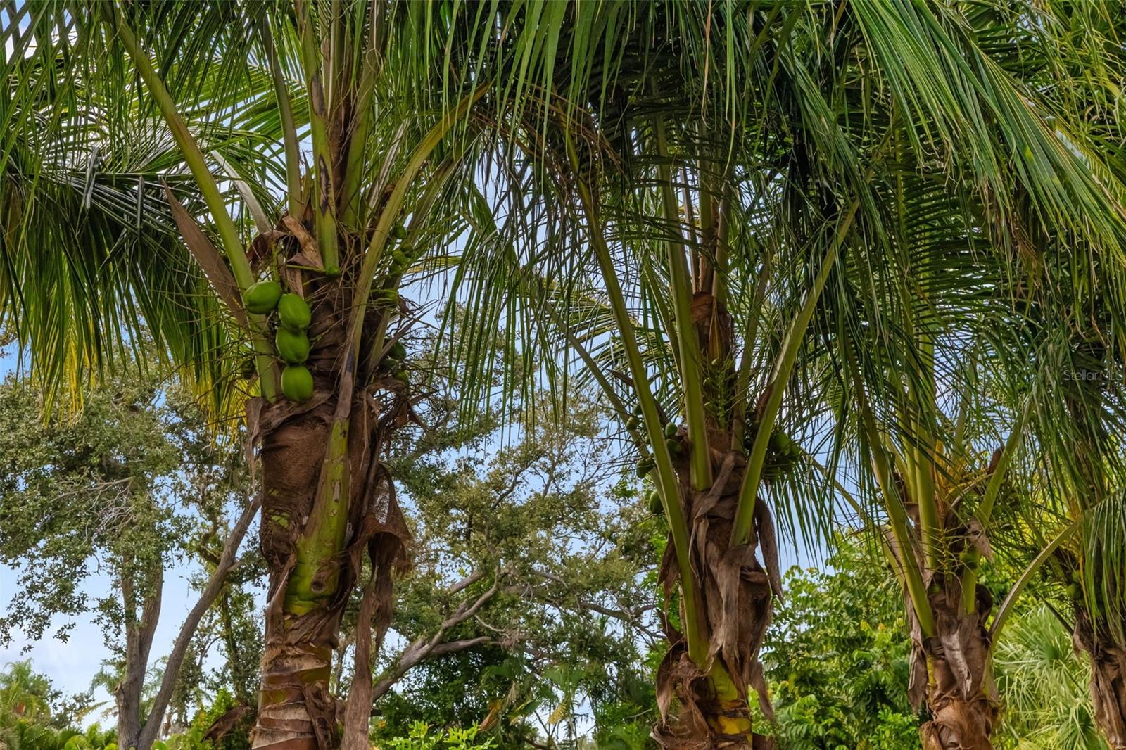 OYSTER BAY ESTATES - Residential