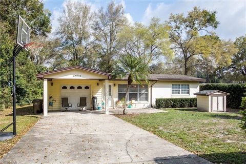 Photo of 25519 Colmar Avenue, Sorrento, FL 32776 (MLS # G5115065)