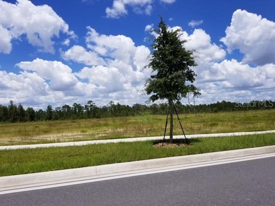 Vacant Land assemblage of up to 80+ acres within 5 miles of Disney. Near major roadways, restaurants and shopping. Currently no road access! Great opportunity for multi unit development along with a small amount of Commercial retail. Call to discuss the possibilities. Not many large acre plots left in this area of Orange County.