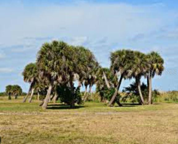 Photo of 21117 NW 276th Street, Okeechobee, FL 34972 (MLS # A4701860)