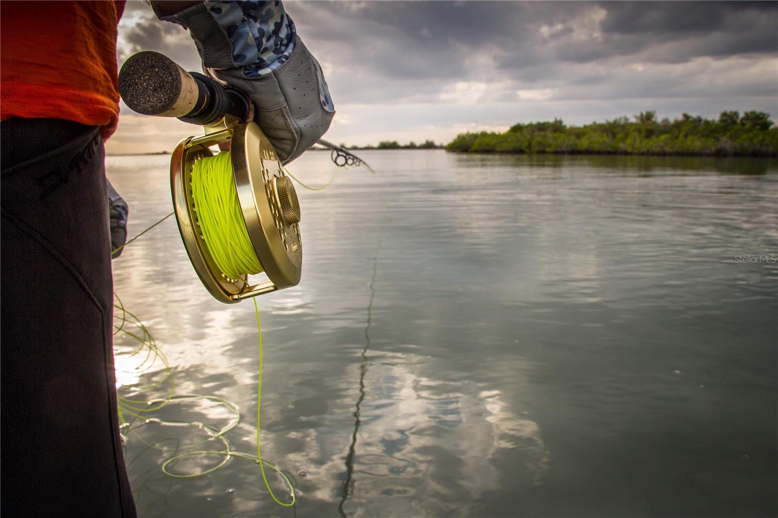 HERNANDO BEACH - Residential