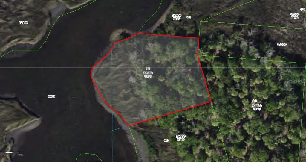 Photo of 50 Carnahans Is, Crystal River, FL 34429 (MLS # V4940327)