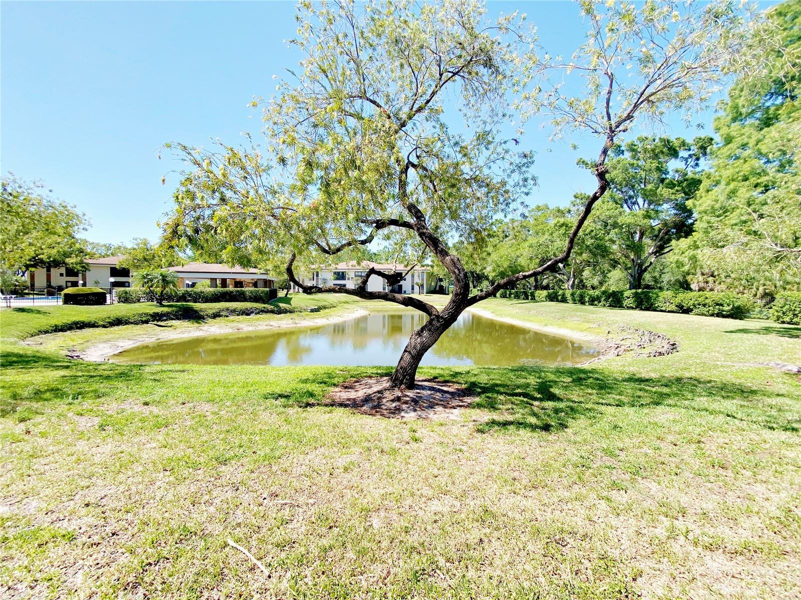 LANDINGS CONDO THE - Residential