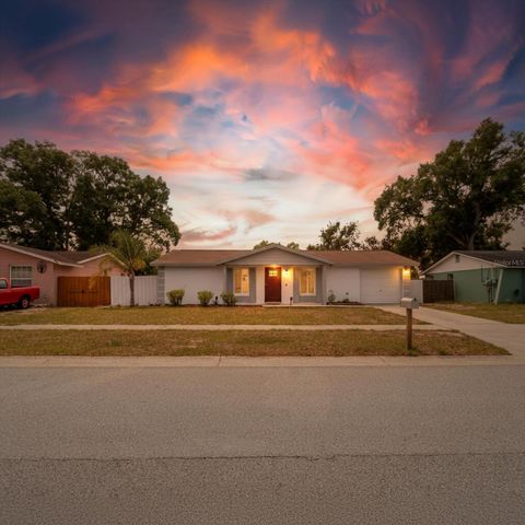 Photo of 2207 Selkirk Street, Valrico, FL 33594 (MLS # TB8507293)
