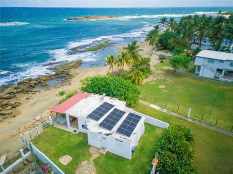 1 MEMBRILLO CAMUY  00627