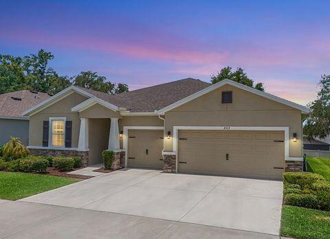 2513 KNIGHT ISLAND DRIVE BRANDON FL 33511