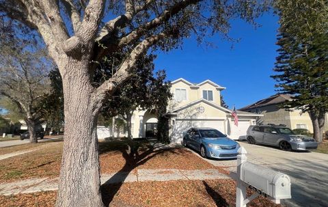 2834 PANKAW LANE VALRICO FL 33596