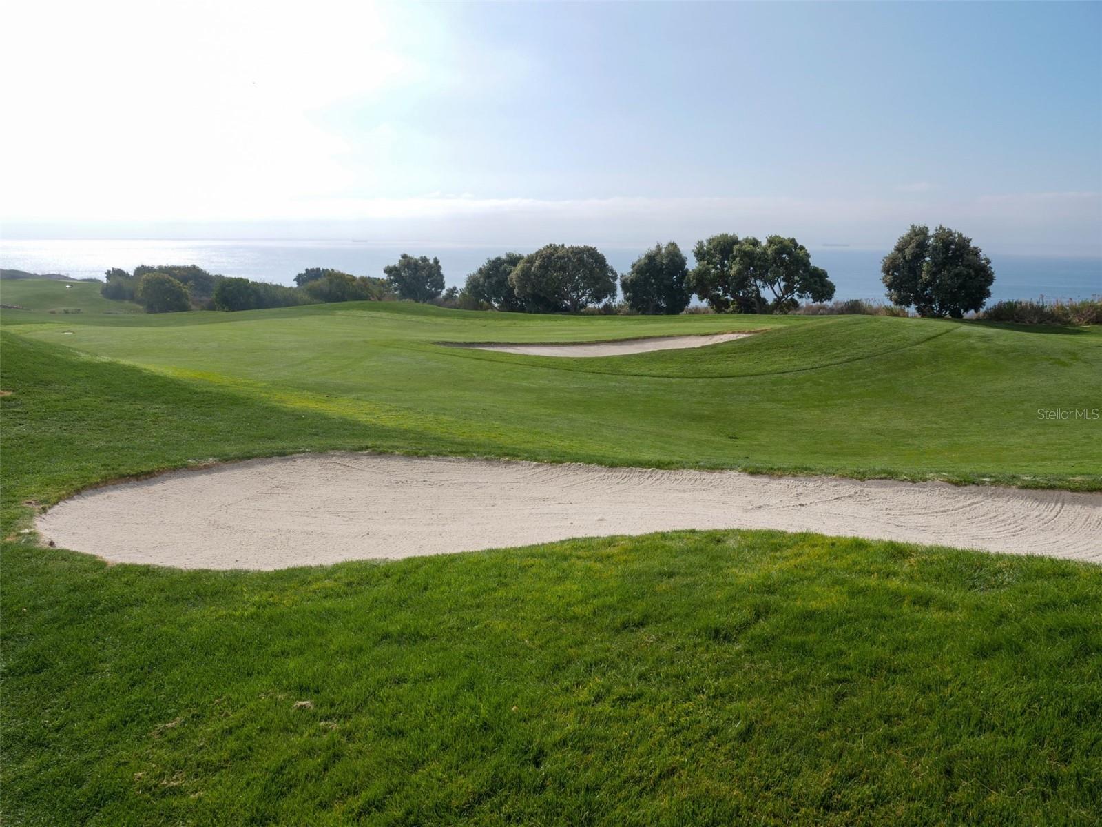 PALM TERRACE GARDENS - Residential