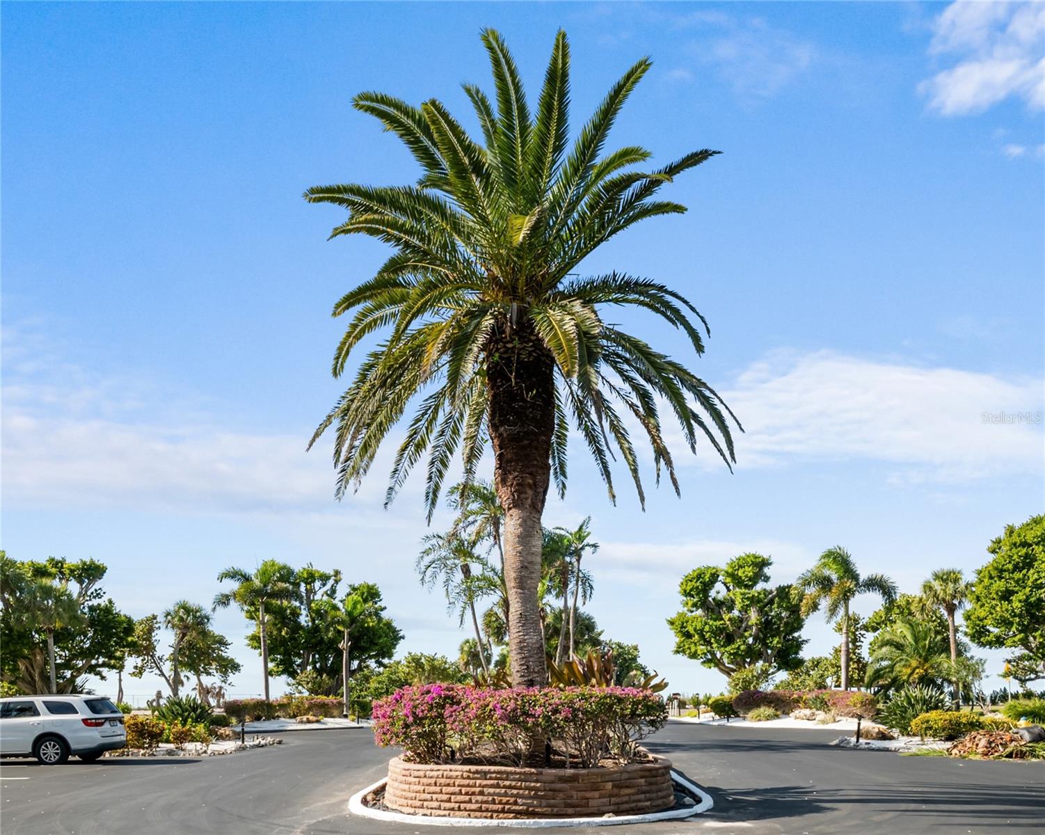 BUTTONWOOD COVE - Residential