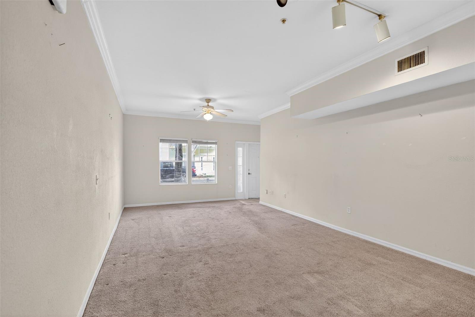 THE VILLAGE AT HAILE - Residential