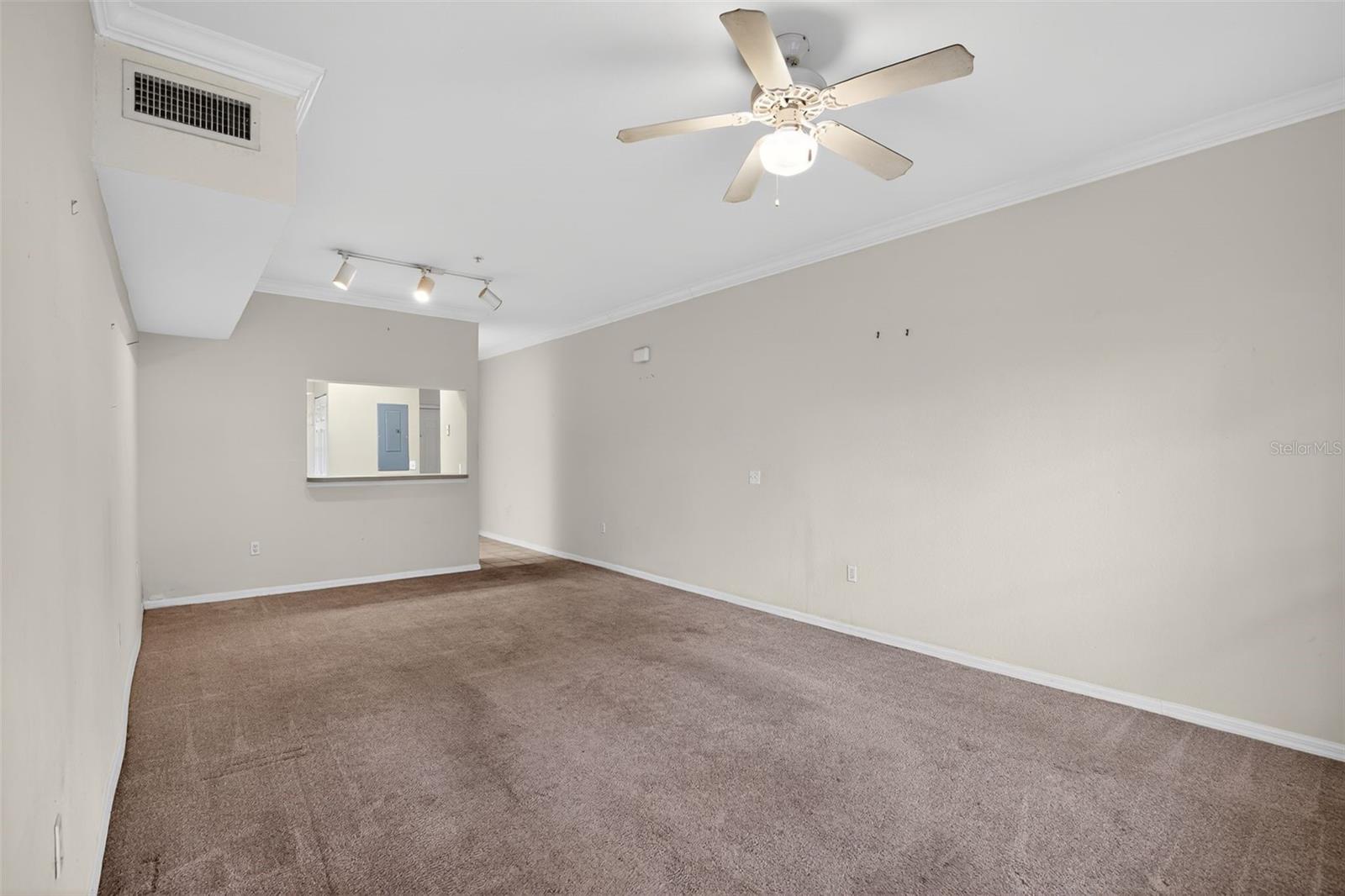 THE VILLAGE AT HAILE - Residential