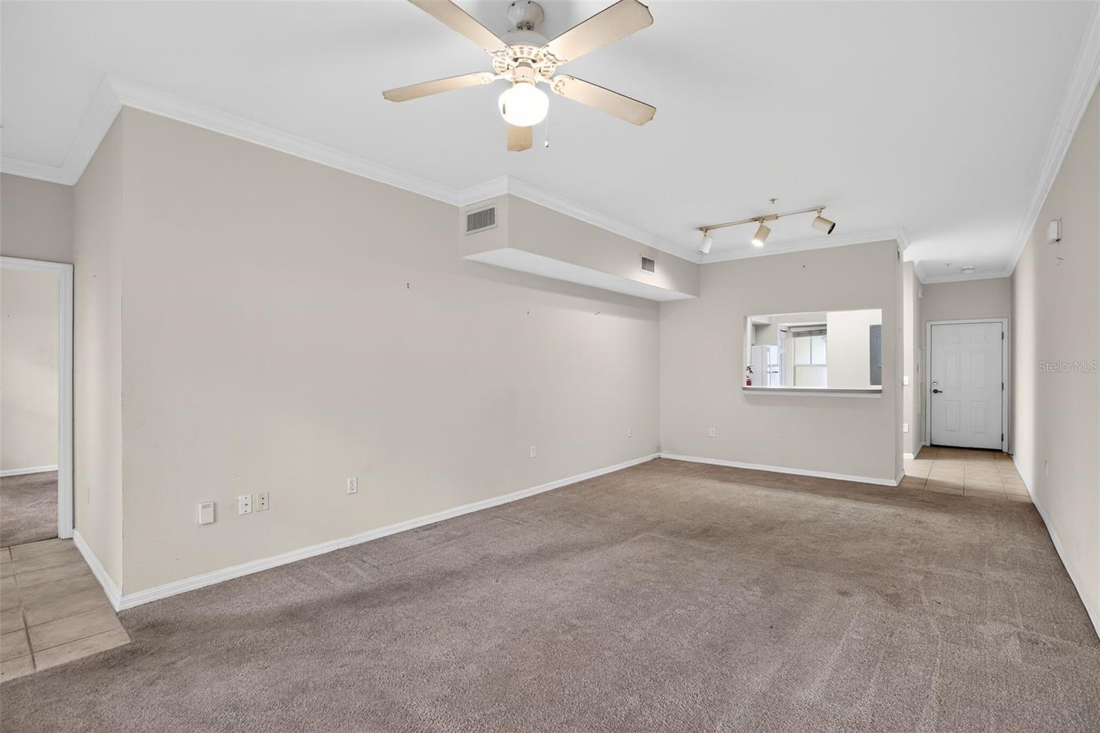 THE VILLAGE AT HAILE - Residential