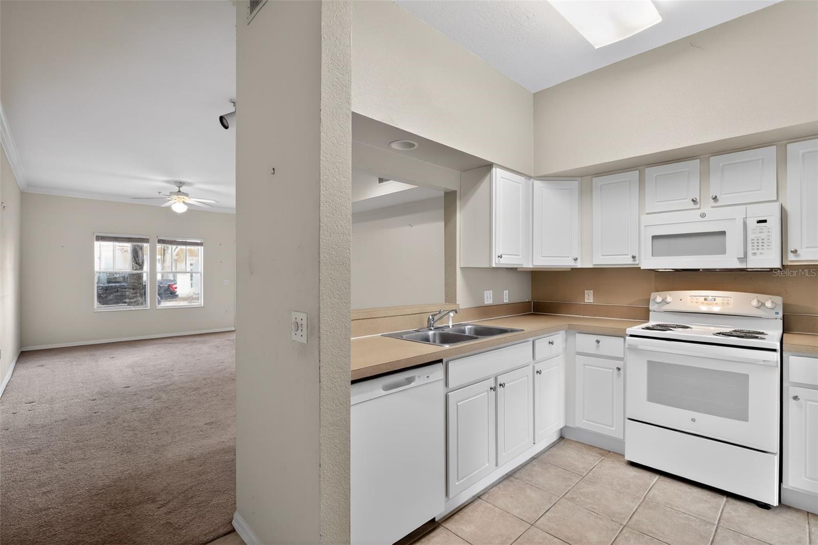 THE VILLAGE AT HAILE - Residential