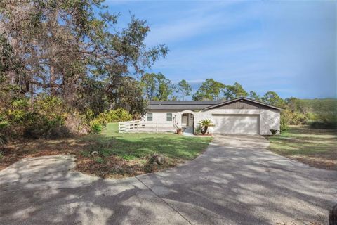 Photo of 30109 Coconut Avenue, Eustis, FL 32736 (MLS # O6374168)