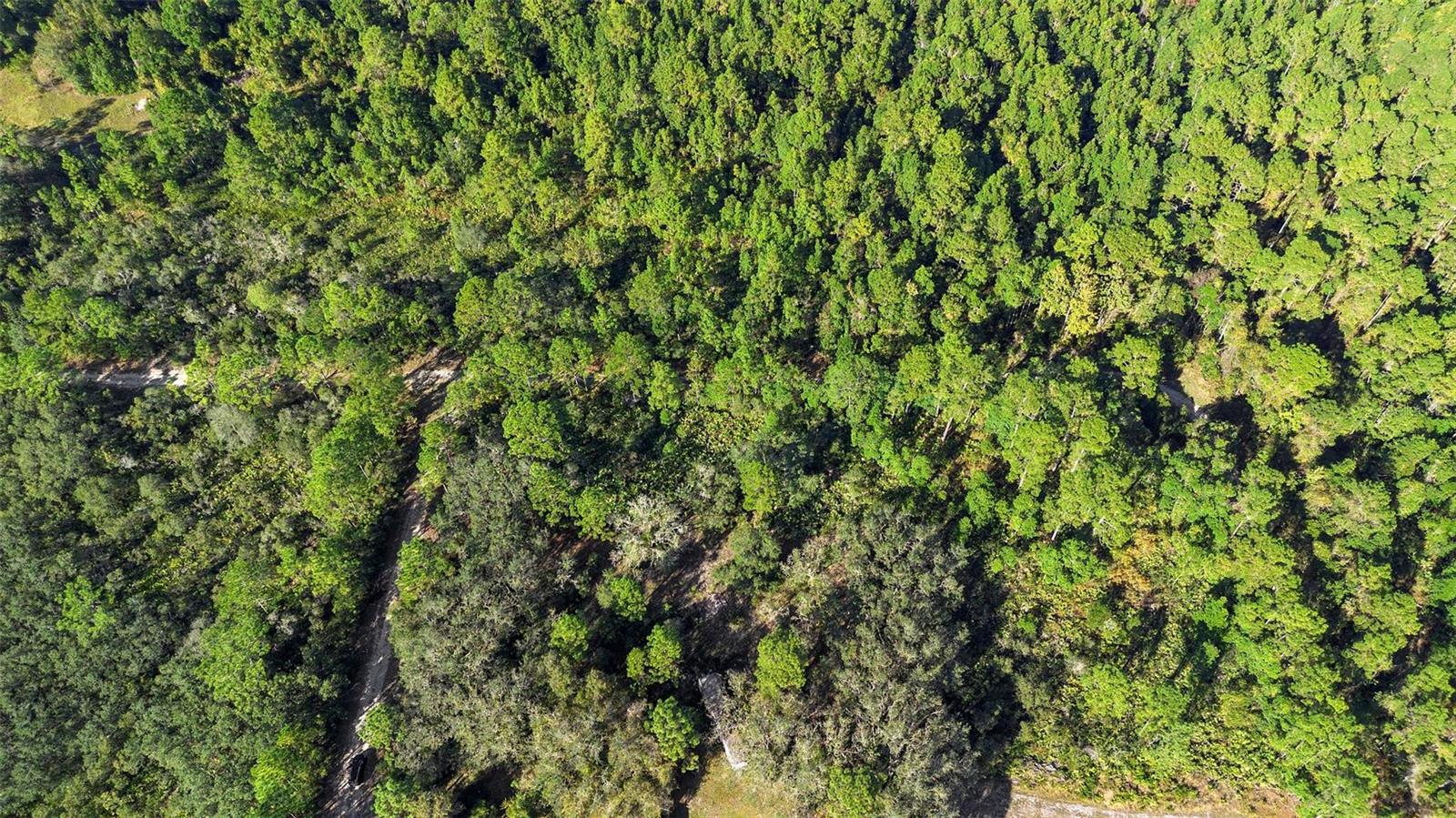 ST JOHNS RIVERSIDE ESTATES - Land