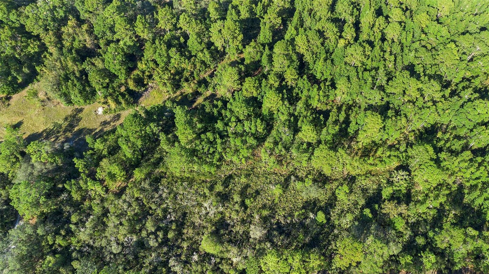 ST JOHNS RIVERSIDE ESTATES - Land