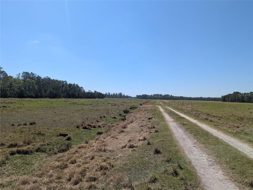 Non Buildable as it is in Green Swap protection area, one need 20 acres to build a home.
Discover the potential of this expansive 3.75 Acres vacant farmable land located on DEEN STILL RD E in Polk City, FL.  
Nestled in a serene area, this never-developed parcel gives a blank canvas for farming. Enjoy the tranquility of a rural setting while being conveniently close to local amenities, schools, and major highways. Don’t miss out on this opportunity to own a piece of prime real estate in Polk City. Start planning your future on DEEN STILL RD E today!

 Parcel Details: 25-26-02-000000-034080
 
The property is being sold as-is, where-is, with no representations or warranties expressed or implied.

GPS: 28°15'14.4"N 81°47'20.4"W