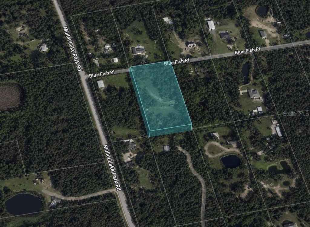 Photo of 2205 Blue Fish Place, Geneva, FL 32732 (MLS # A4694161)
