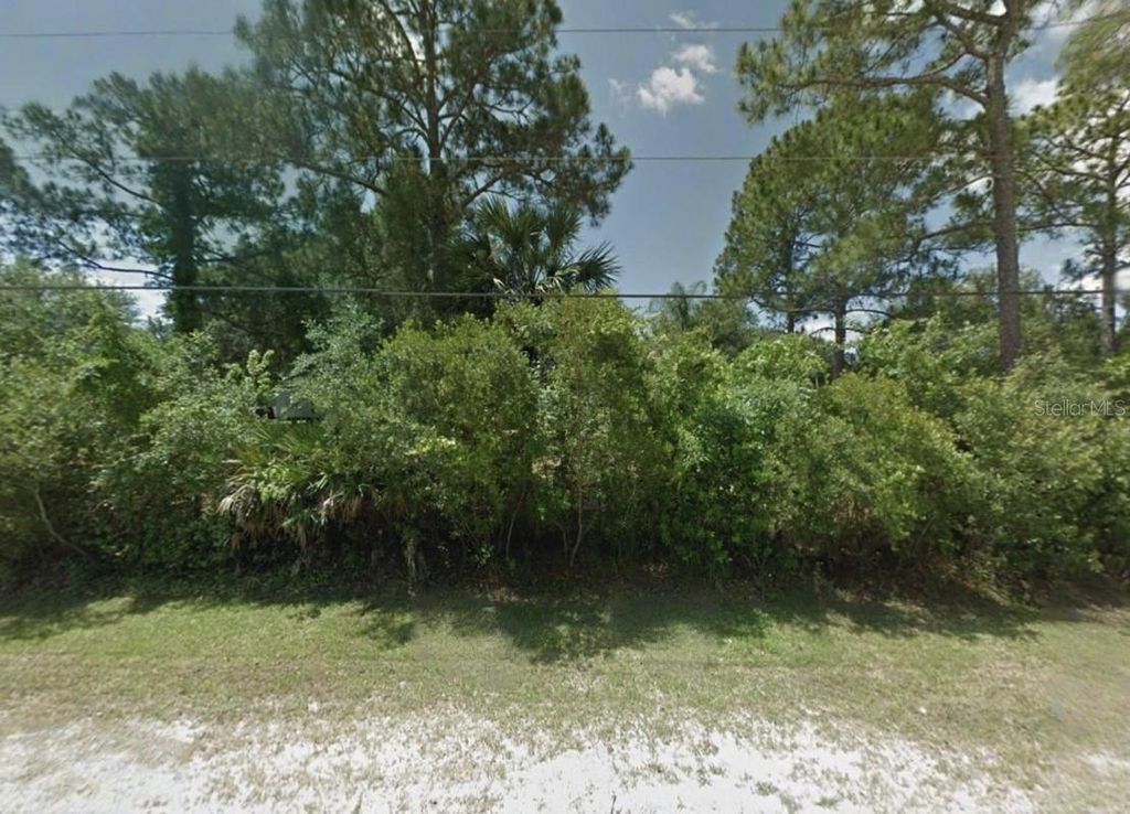 Photo of 2205 Blue Fish Place, Geneva, FL 32732 (MLS # A4694161)