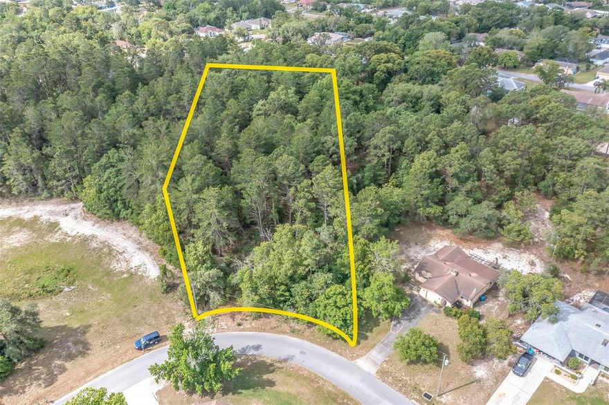 Come and build your family dream home on this beautiful wooded, 1.05 acre property in the heart of Spring Hill.   NO HOA. Great neighborhood and just minutes away from Veterans Park, restaurants and shopping. Convenient to Veterans express way for those who commute to Tampa. Call today to make this property yours!
