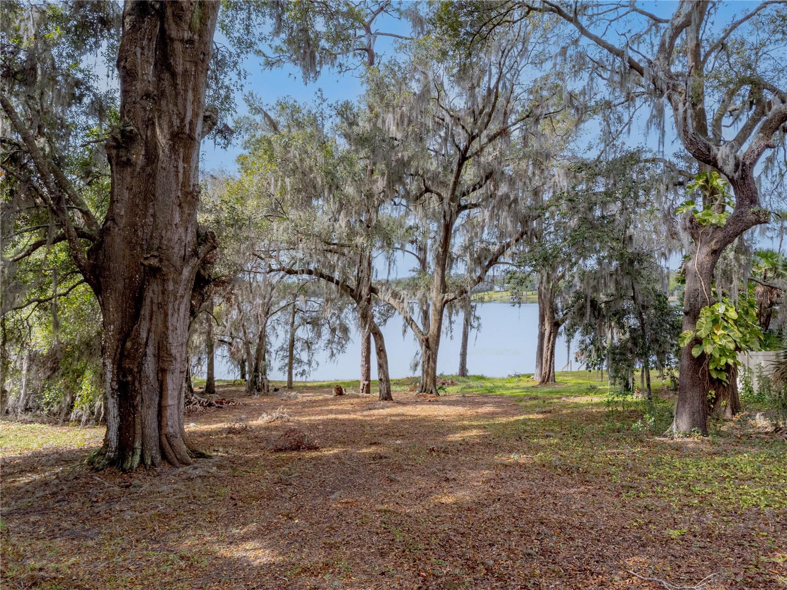 Your Lakefront Dream Awaits!
Welcome to your serene lakeside oasis on the edge of South Twin Lake, affectionately known as Lake Billy Boo Hoo, nestled in the sought-after Silver Beach community of Umatilla. This incredible property offers two parcels totaling 2.3 acres, with 0.52 acres of prime dry, buildable land.
With 117.80 feet of private lake frontage on the 90-acre South Twin Lake, this is your opportunity to enjoy all the beauty and tranquility that lakefront living can provide. The property includes both a Wetland Delineation Study and Full Property Boundary Survey, completed in May 2024, for added peace of mind.
In addition, the seller has prepaid the electrical portion of the initial County Impact Feeds, with electricity already brought to the property—saving you money when it's time to build your dream home. Fiber optic cable has also been run through the neighborhood, providing high-speed internet access for work or play!
There’s no required HOA, giving you the freedom to build on your own schedule. This is a rare chance to own a slice of paradise on a private lake with endless possibilities!
Make your lakefront living dreams come true today—schedule your showing and envision the home you could build here!