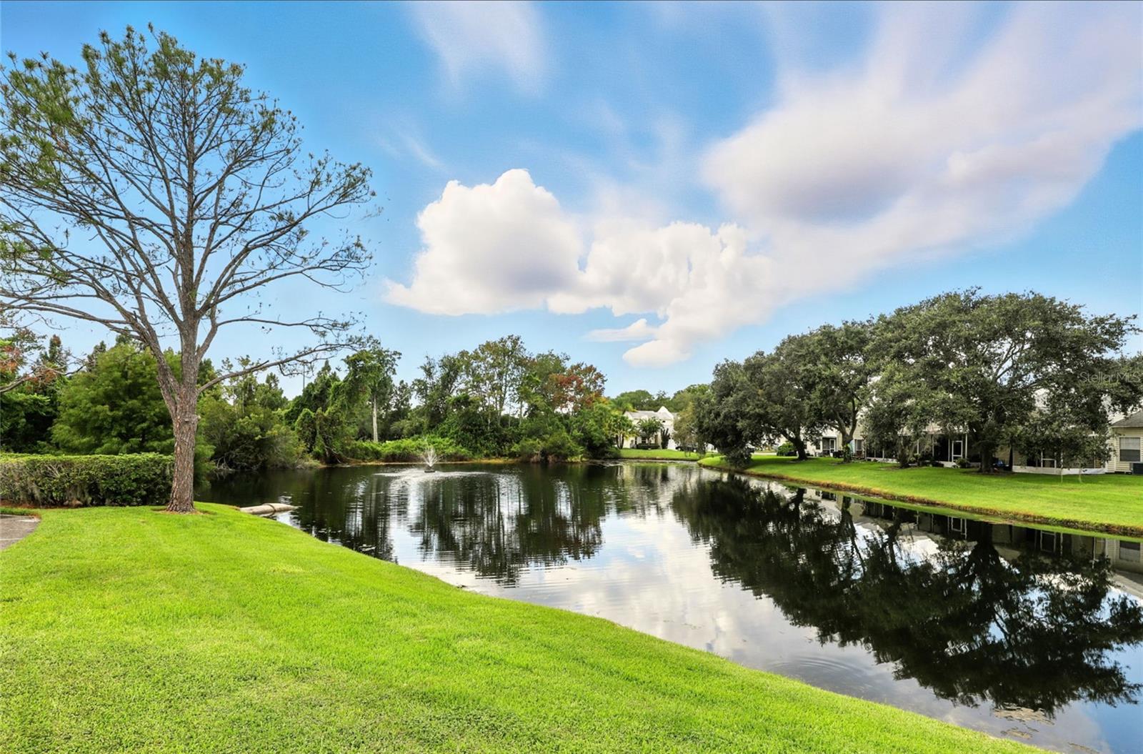 NORTHSHORE REP - Residential