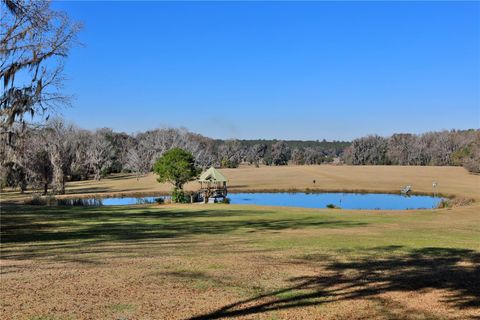Tiny photo for 15551 NW Highway 225, Reddick, FL 32686 (MLS # OM717740)