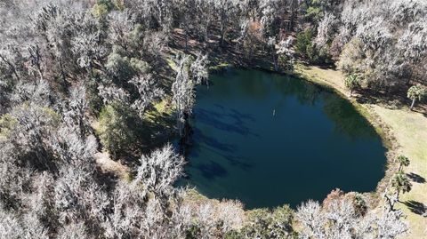 Tiny photo for 15551 NW Highway 225, Reddick, FL 32686 (MLS # OM717740)