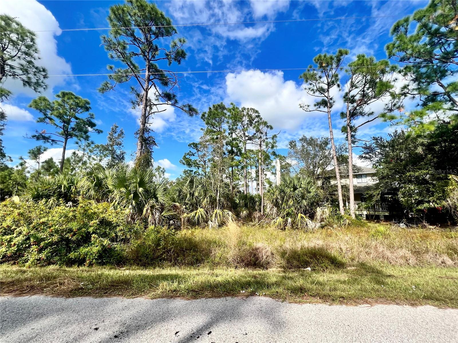 Very nice northern rear exposure lot located on a lake in a quiet rural, lightly developed neighborhood. A few new homes in area.