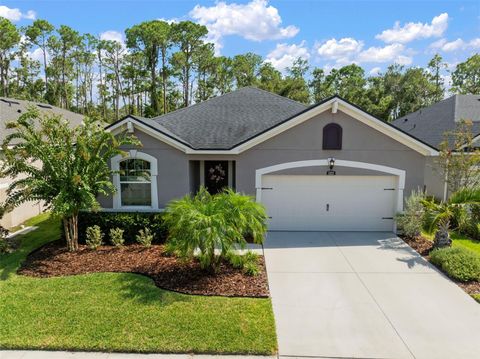 Photo of 13223 Baby Belle Drive, Riverview, FL 33579 (MLS # TB8420109)
