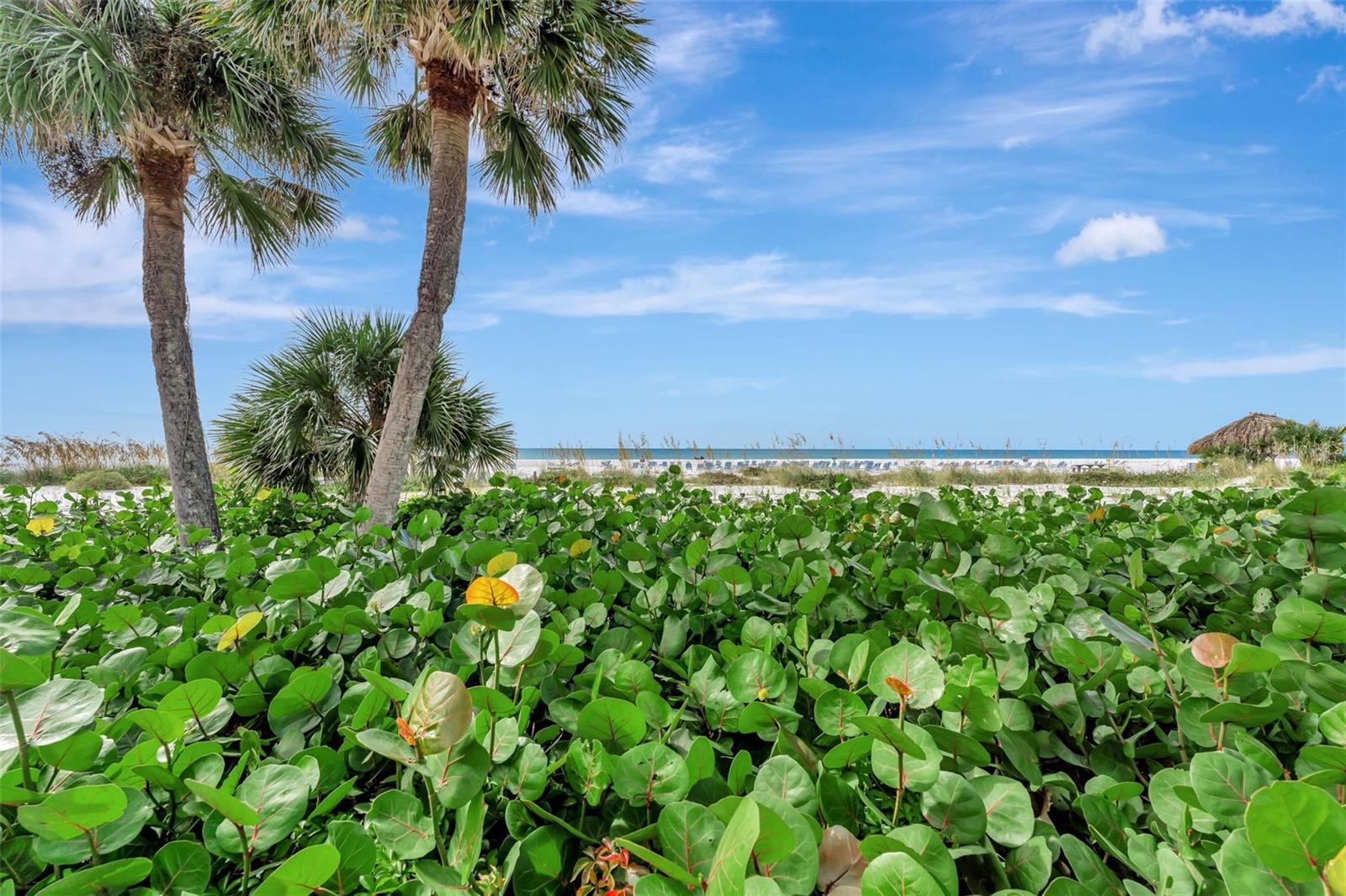 PEPPERTREE BAY IV - Residential