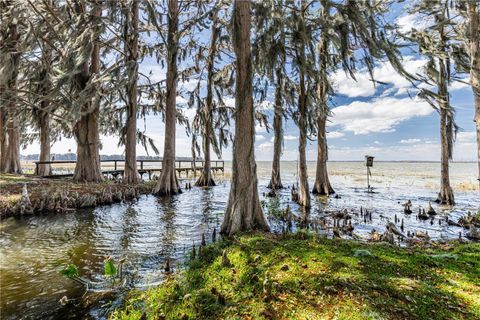 Tiny photo for 11322 Dead River Road, Tavares, FL 32778 (MLS # G5108826)