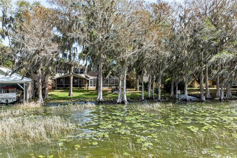 Tiny photo for 11322 Dead River Road, Tavares, FL 32778 (MLS # G5108826)