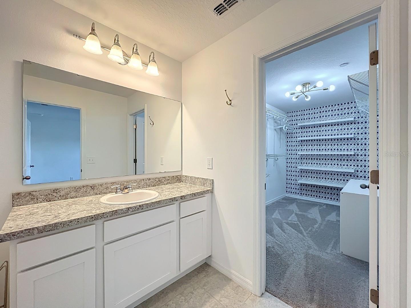 BAY LAKE PRESERVE - Residential