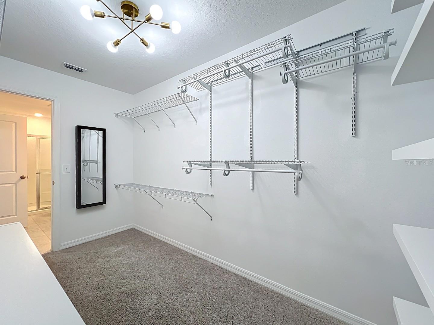 BAY LAKE PRESERVE - Residential