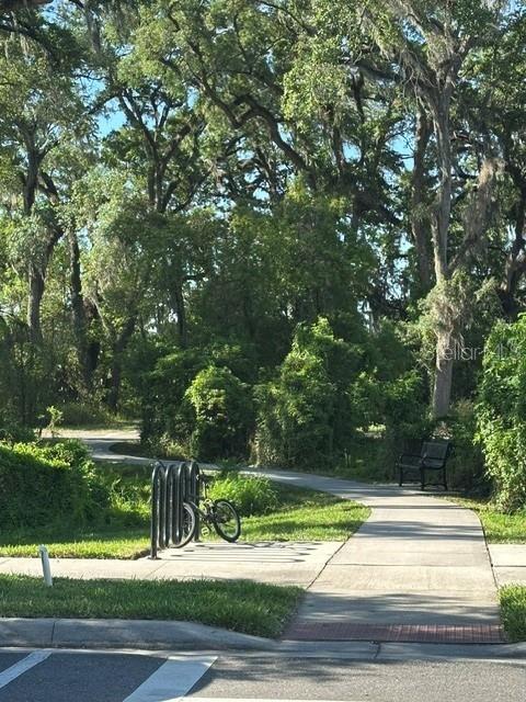 BAY LAKE PRESERVE - Residential