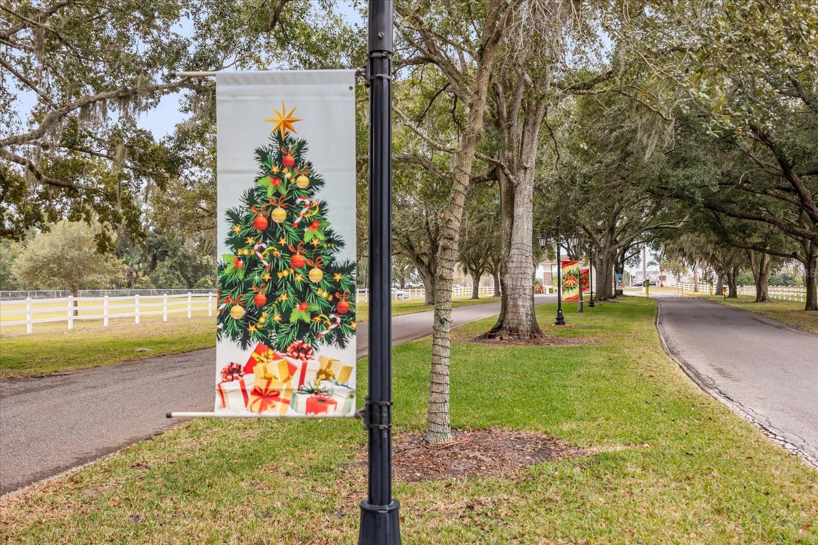 ZELLWOOD STATION COOP MH PARK - Residential