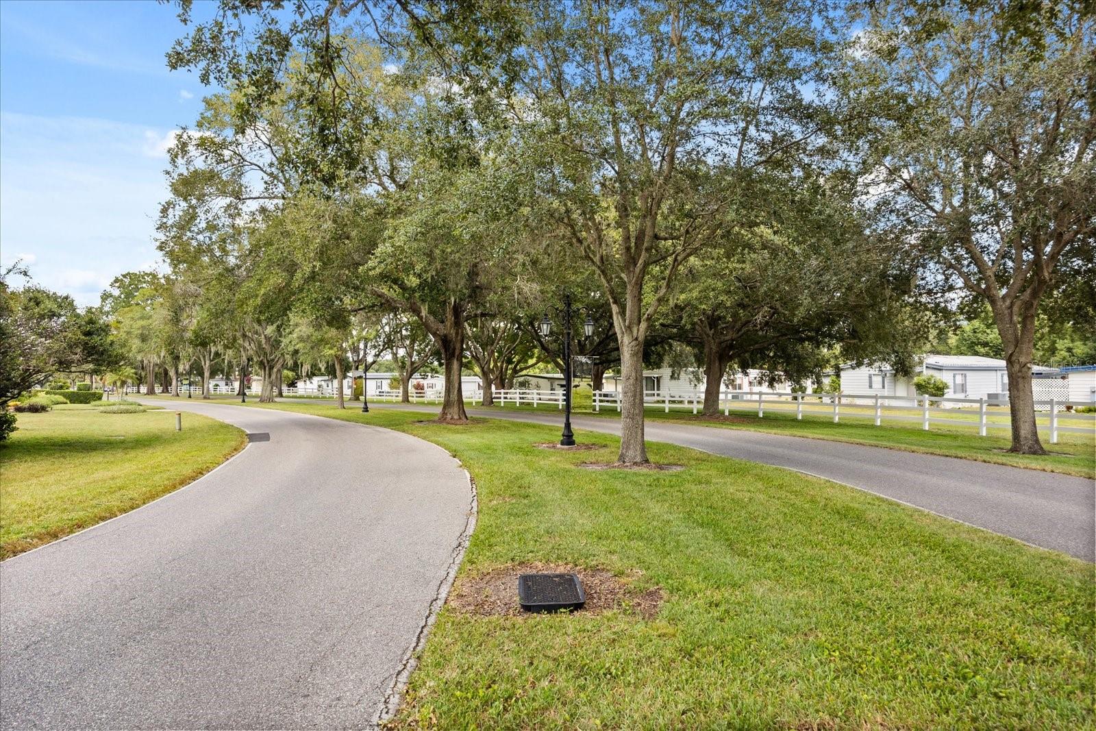 ZELLWOOD STATION COOP MH PARK - Residential